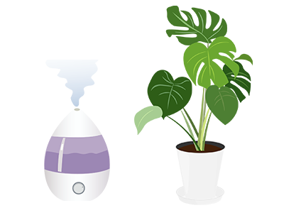 加湿器と観葉植物